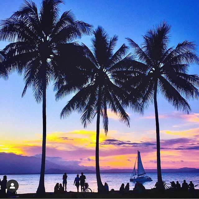 PortDouglas_Aus's tweet photo. • S U N S E T S K I E S •
What a magical evening. ✨🌴
📸 @antonsadventure .
.
.
.
.
#portdouglas #portdouglasdaintree #rexsmealpark #islandpoint #sunset #exploretnq #thisisqueensland #seeaustralia #beautifuldestinations #igtravel https://t.co/kQtCQlGE1v https://t.co/7NDzDvIPoQ