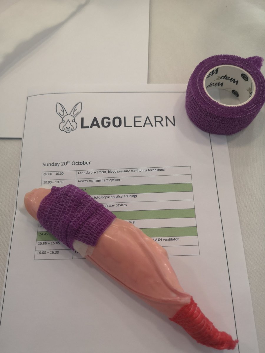 ExoticRvn's tweet image. Day 2 of @Lagolearn training and it&apos;s a day of practicals and techniques.
Having fun placing intravenous cannulas in dummy rabbit ears.
#lagolearn #vetnurse #vn #whatVNsdo #cpd #education @MillpledgeVet @SupremePet @JuroxUK