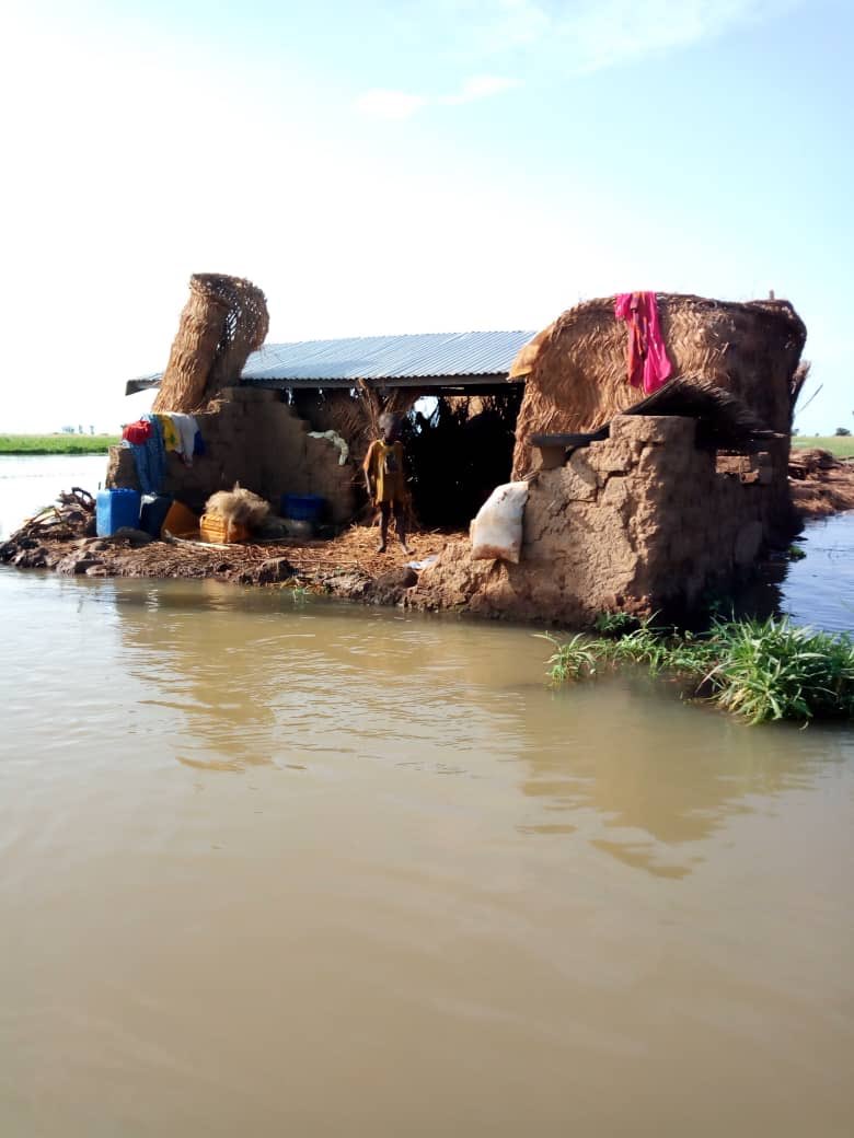 abaliabdou's tweet photo. Inondation: 15 villages de l’arrondissement de ZINA disparus de la carte suite à la montée des eaux.  
#sos_solidarité
#Extrême_Nord
#Cameroun https://t.co/b7jh9eiRZg