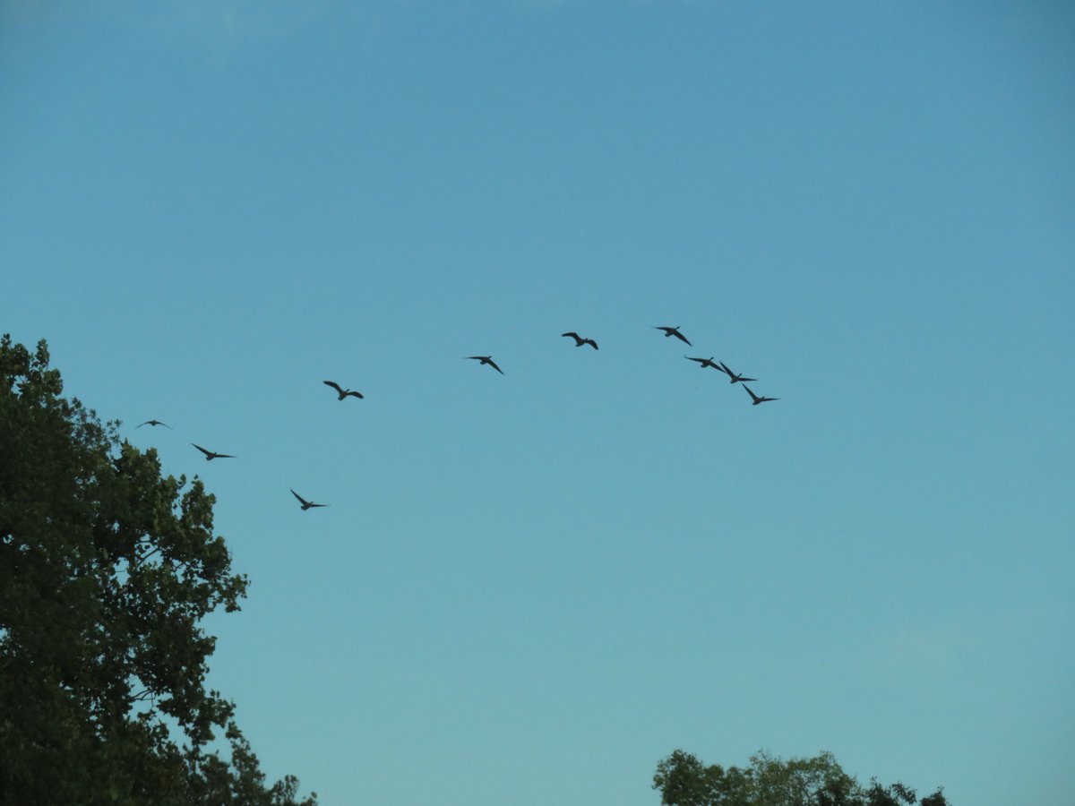 PLKlein_Author's tweet photo. "We are all born with more potential than we can possibly use in one lifetime. Choose wisely." ~ #PLKlein #Author #ThinkBIGSundayWithMarsha #ThinkingOutLoud #QuickQuotes #SundayThoughts #Born #Potential #Lifetime #Choose #Wise https://t.co/3h7sjuNC7E