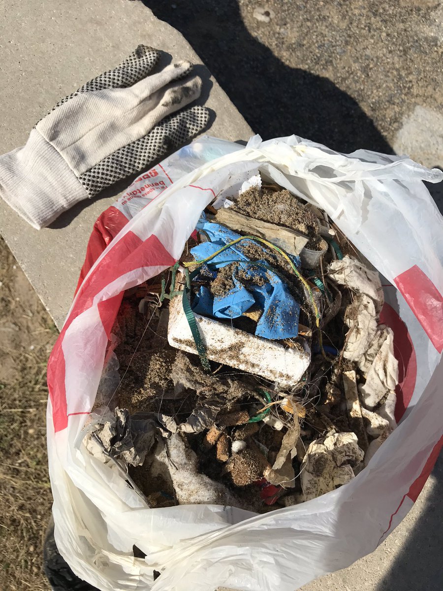 Recogido en media hora de paseo en la orilla de la playa de  #Castelldefels , #dejalomejordecomolohasencontrado #savetheplanet