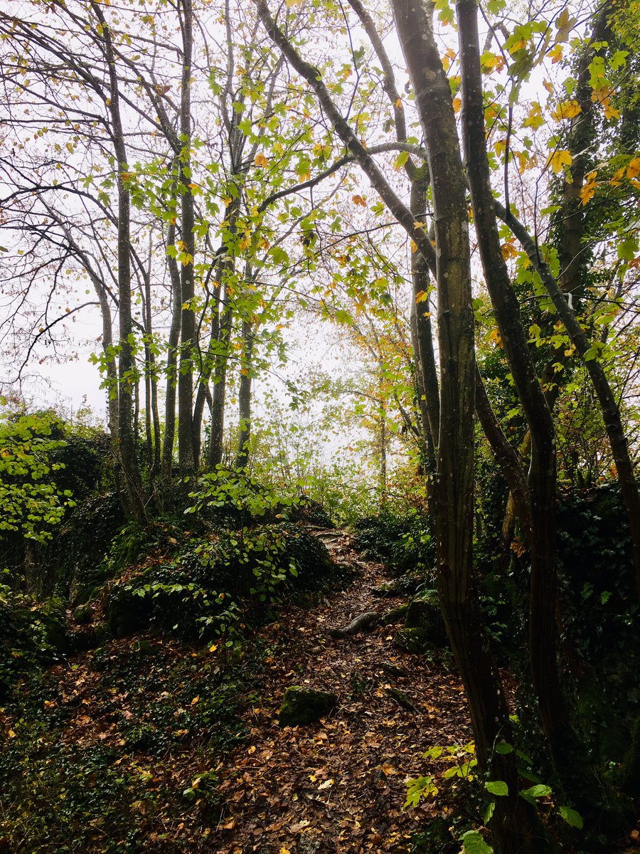 Aujourd’hui, <a href="/MmeBougeotte/">Madame Bougeotte</a> nous avait donné rendez-vous en #Calestienne pour une 🥾 rando-biere 🍺 en #Wallonie 🇧🇪
On vous racontera cette nouvelle découverte 😉
#naturelovers #biere #randonnee #Belgique