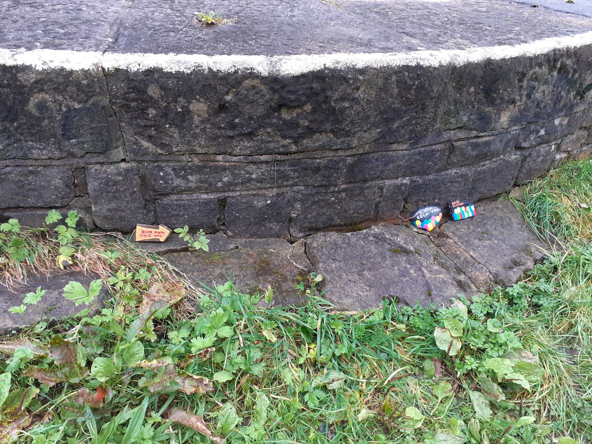 thackleyrocks's tweet photo. Leeds Liverpool canal you have been rocked by #ThackleyRocks #TheThackleyRockLady https://t.co/Sx7DLgXJwR