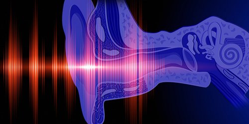 ASHAJournals's tweet image. Does #Contralateral Inhibition of Transient Evoked Otoacoustic Emissions Suggest Sex or #Ear Laterality Effects? By Andrew Stuart and Alyssa N. Kerls in #AJA on.asha.org/32t1qbb #ASHAJournals #audpeeps @EastCarolina