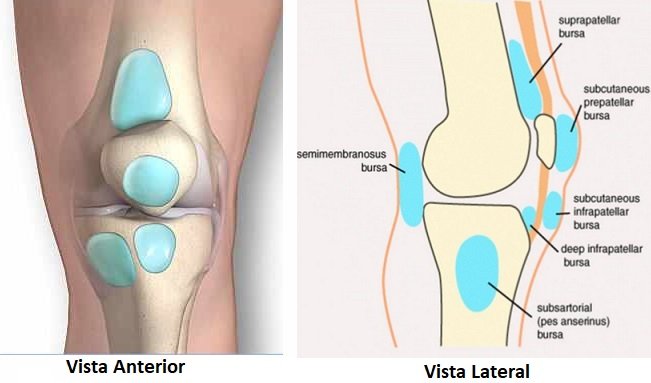 Factores de crecimiento rodilla precio barcelona