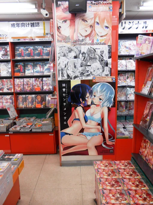 とらのあななんば店様で「純愛センチメンタル」のポスターを飾って頂きました!お近くの方は是非お立ち寄り下さい!
https://t.co/bFXTcmVz4W 