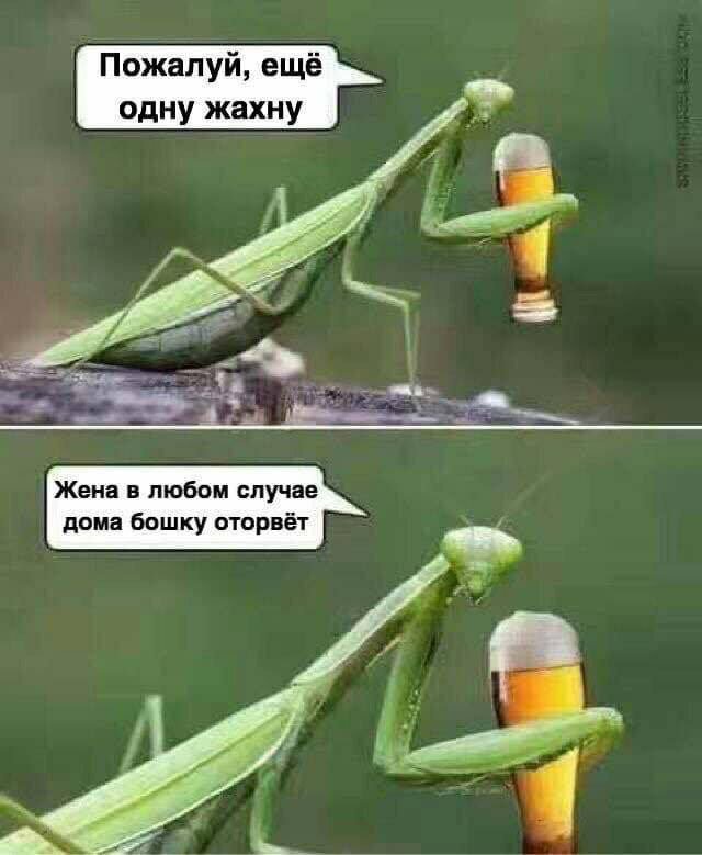 EHUkNavXUAAQ2e2?format=jpg&name=900x900