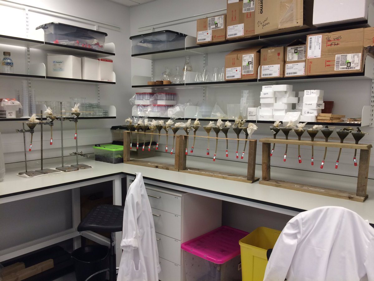 anthonycgeorge's tweet photo. A bit late but well done to the lab, end of season, baermann everything #baermann #vetparasitology https://t.co/99OIU6si84