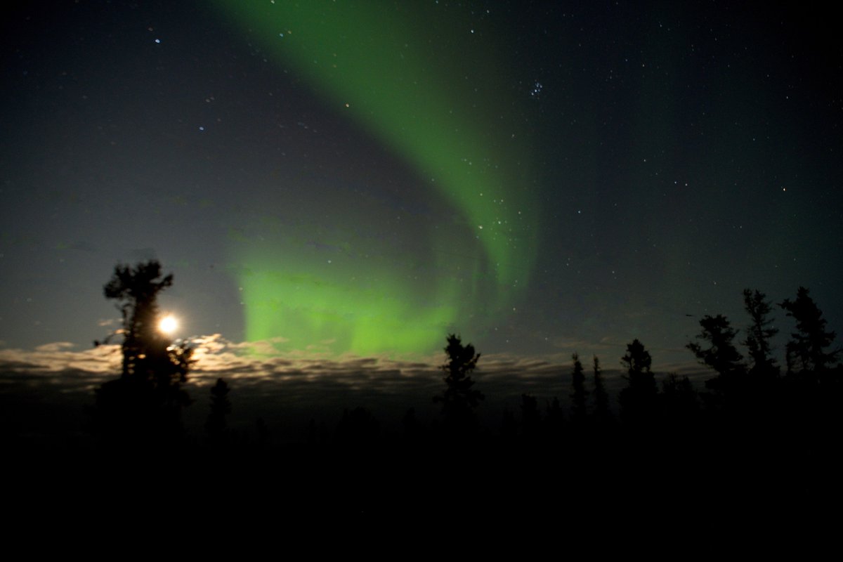 A little Aurora Borealis for you all the way from Yellowknife.