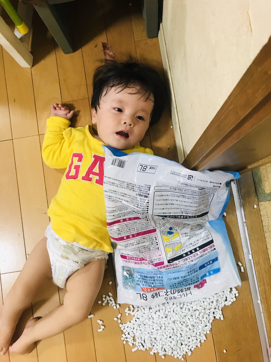 子どものいたずら Twitter Search Twitter 子どものいたずら Twitter Search Twitter