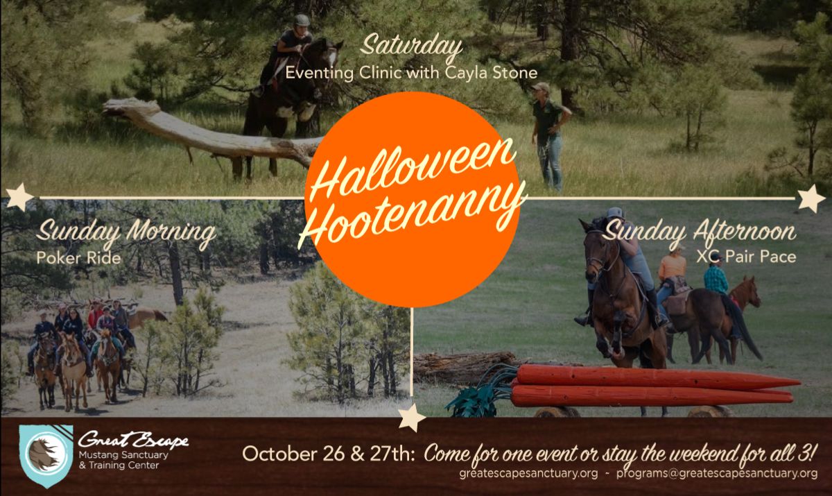 helpwildhorses's tweet photo. GEMS | Halloween Hootenanny next weekend! - https://t.co/863EE6YzST https://t.co/ukO1AsLwWV