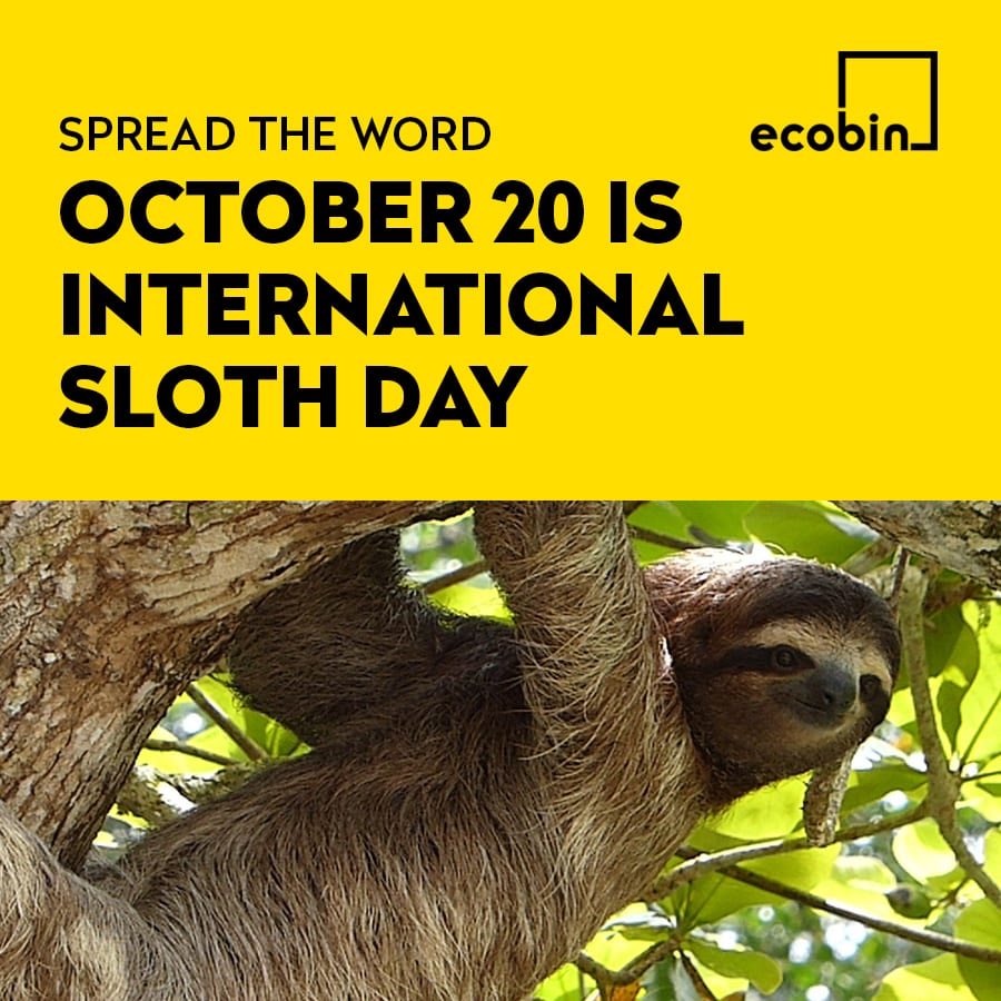 ThePokerSloth's tweet photo. Your observance today is very important to me !!!! https://t.co/DikVoDC4I5