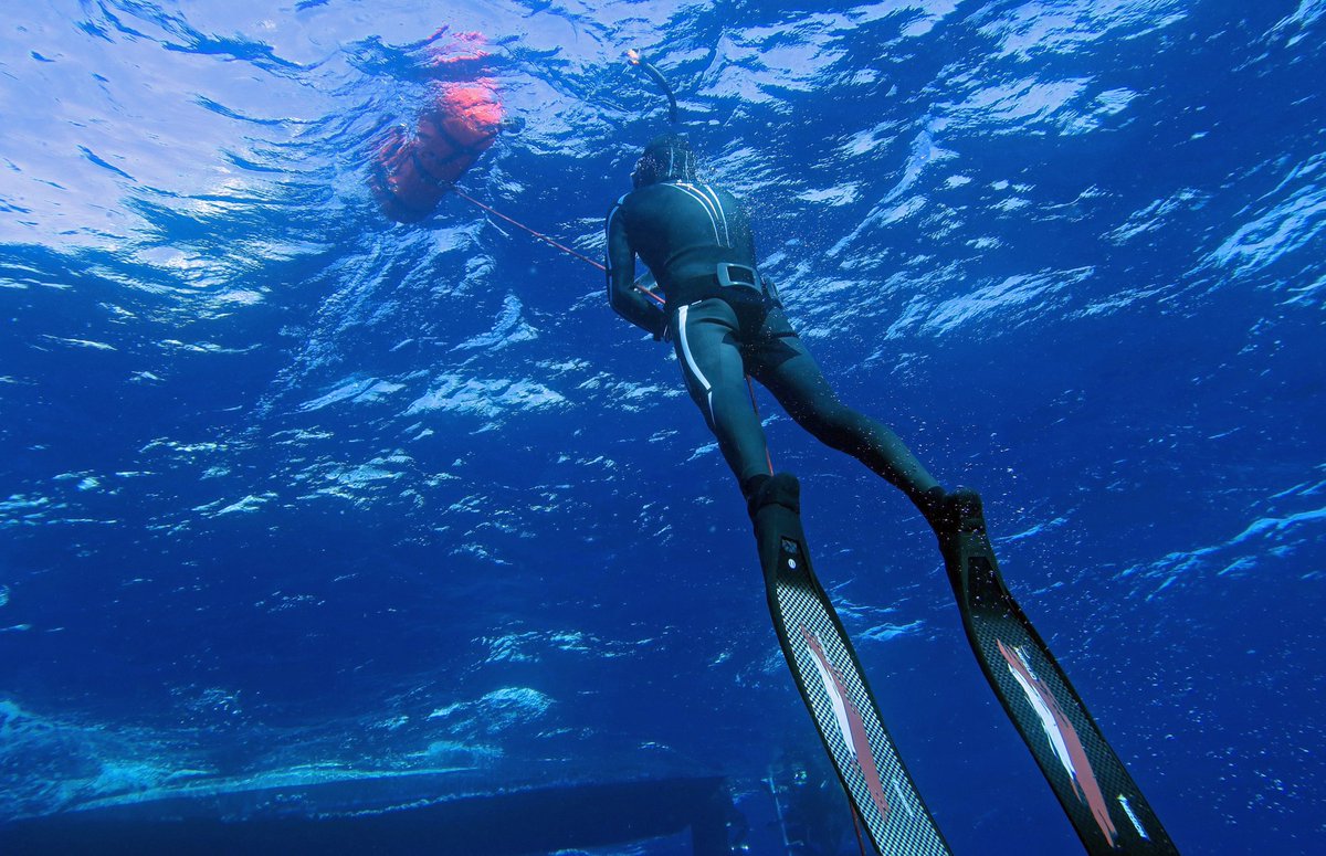 Blue_Adventure's tweet photo. Apnea vs buceo en la Plataforma - 33m 🌴🌊 
Join us:
🌐https://t.co/7CXC2YGdSI
📧info@blue-adventure.com
☎️+34 971 321 168
📱+34 636 817 419 (WhatsApp)

#freediving #apnea #apnee #formenterabuceo #buceoformentera #tauchgang #plongéesousmarine  #divessi #ssi_international https://t.co/DYvEiSPcH0