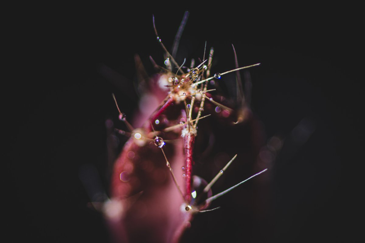 Koukichi_T's tweet photo. #ExceptionalNormalcy on @EyeEm
▶️https://t.co/51nM7B7pt1
#ktpics #Imperfection #abstract #minimal #EyeEm #ファインダー越しの私の世界 https://t.co/YheDsFYChL