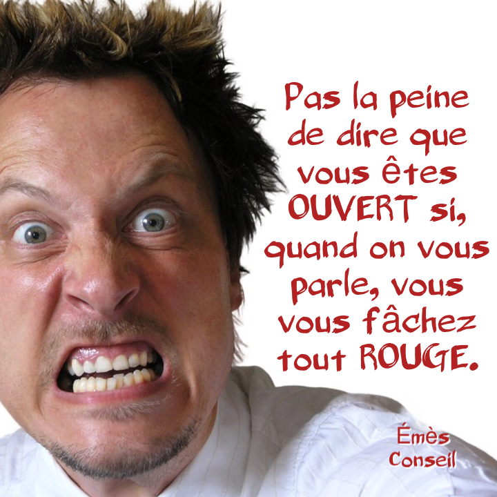 Le management, c’est favoriser les bonnes idées de son équipe #formation #management Émès Conseil emesconseil.com