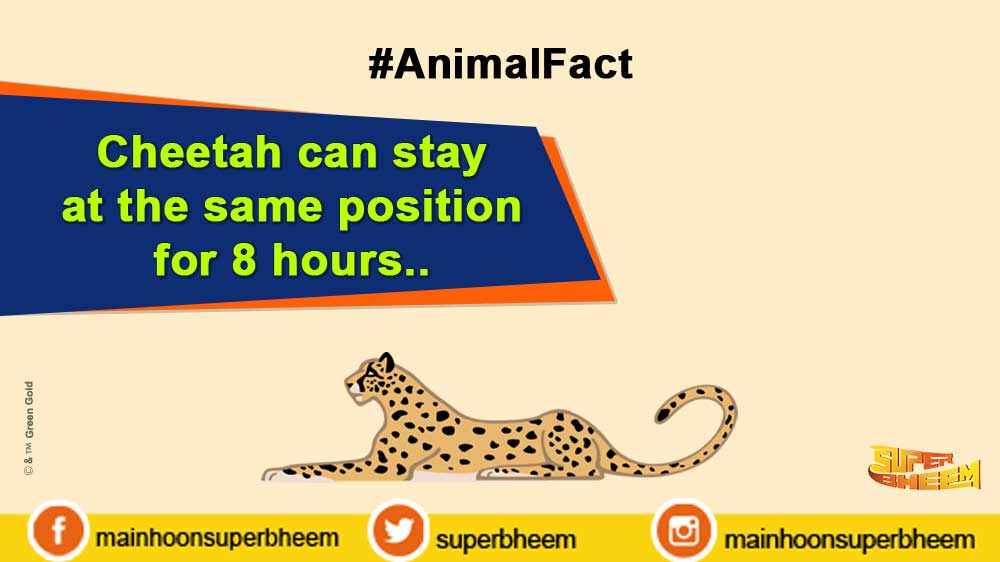 SuperBheem's tweet photo. #AnimalFact #InterestingWildLife #FactForYou #DidYouKnow #FactFun #SuperBheem https://t.co/MN5Xga4dSH