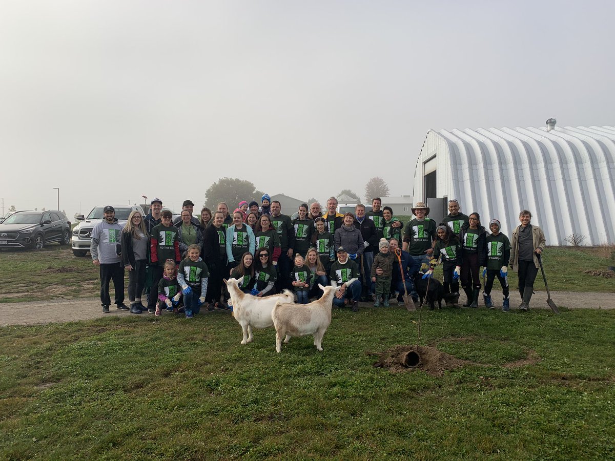 scooterjolly's tweet image. Enjoying a wonderful morning in Grimsby with volunteers and 🐐s 😀. #TDtreedays #TDReadyCommitment #TDFEF to plant 1 million trees by 2030 🌲 🌳