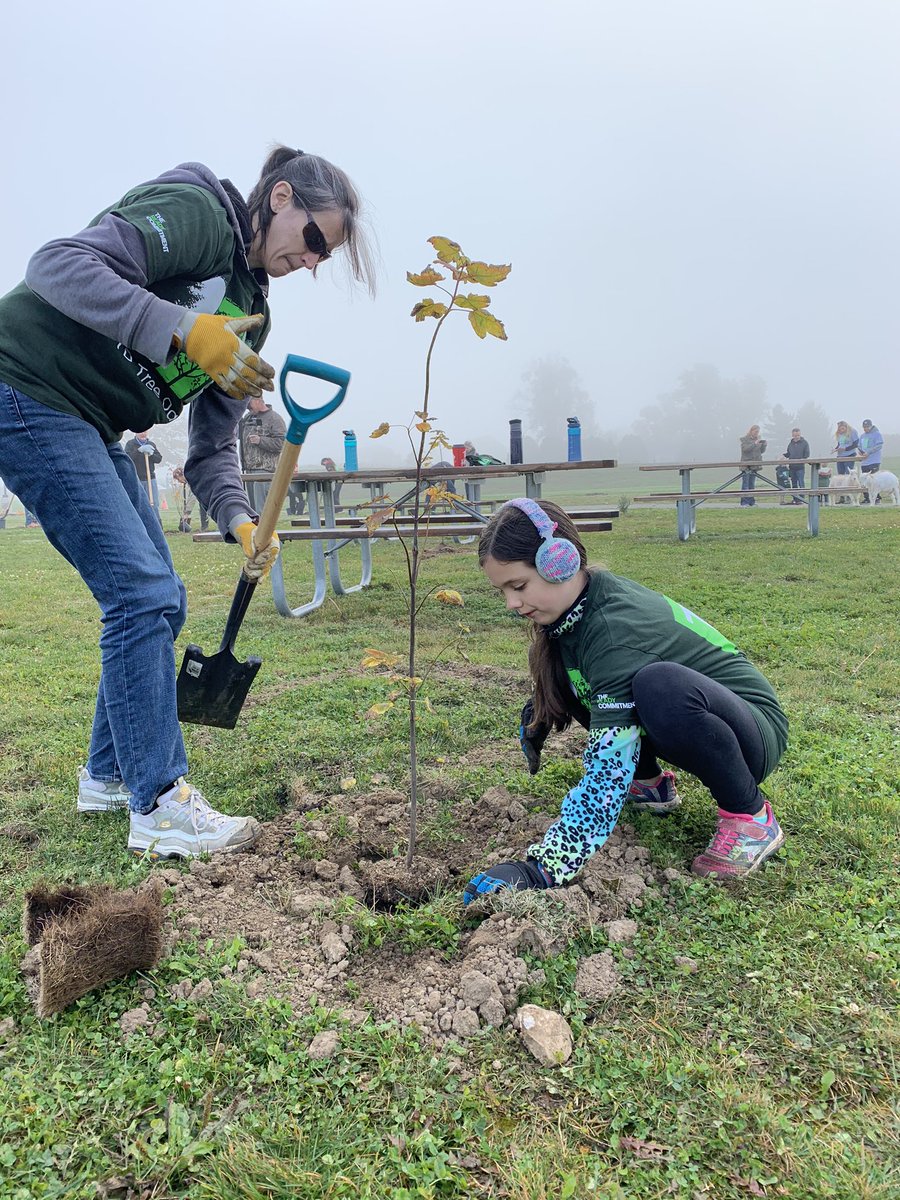 scooterjolly's tweet image. Enjoying a wonderful morning in Grimsby with volunteers and 🐐s 😀. #TDtreedays #TDReadyCommitment #TDFEF to plant 1 million trees by 2030 🌲 🌳