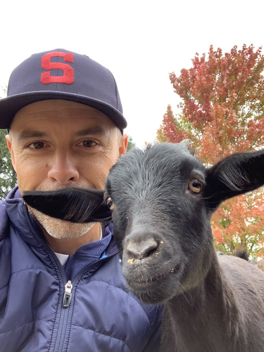 Caprine selfie Sunday.