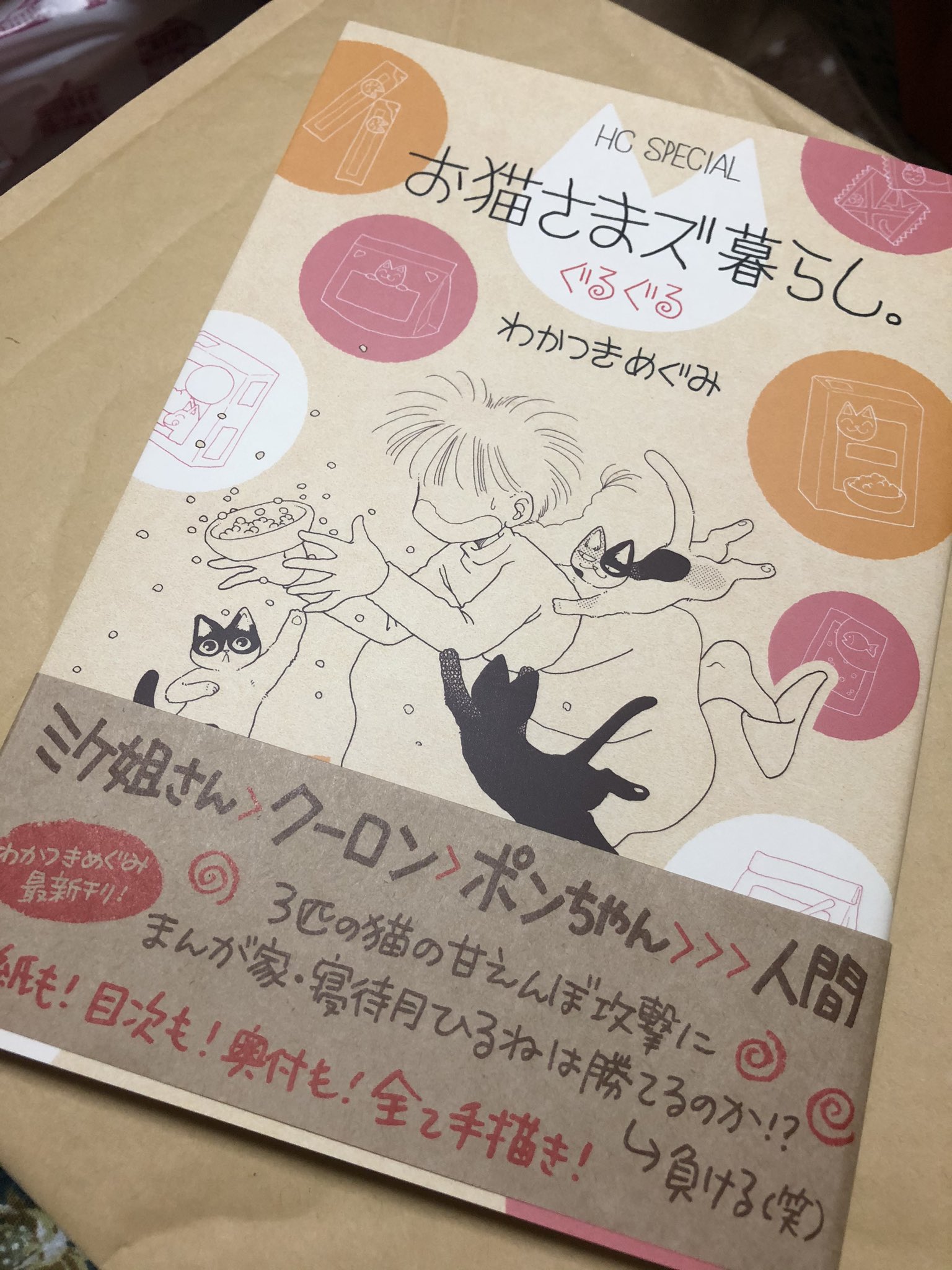 ぽっちぃ どうですか この徹底ぶり 愛読者カードももちろん 帯の折り返しんとこも T Co Cuhrwcfxtq Twitter