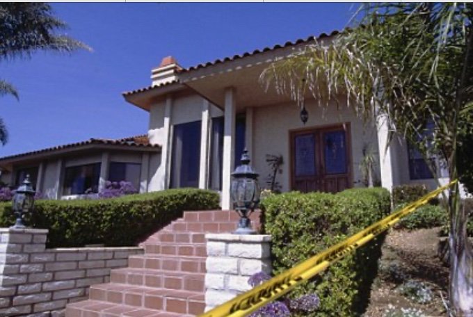 Para Motor Chicks tweet media