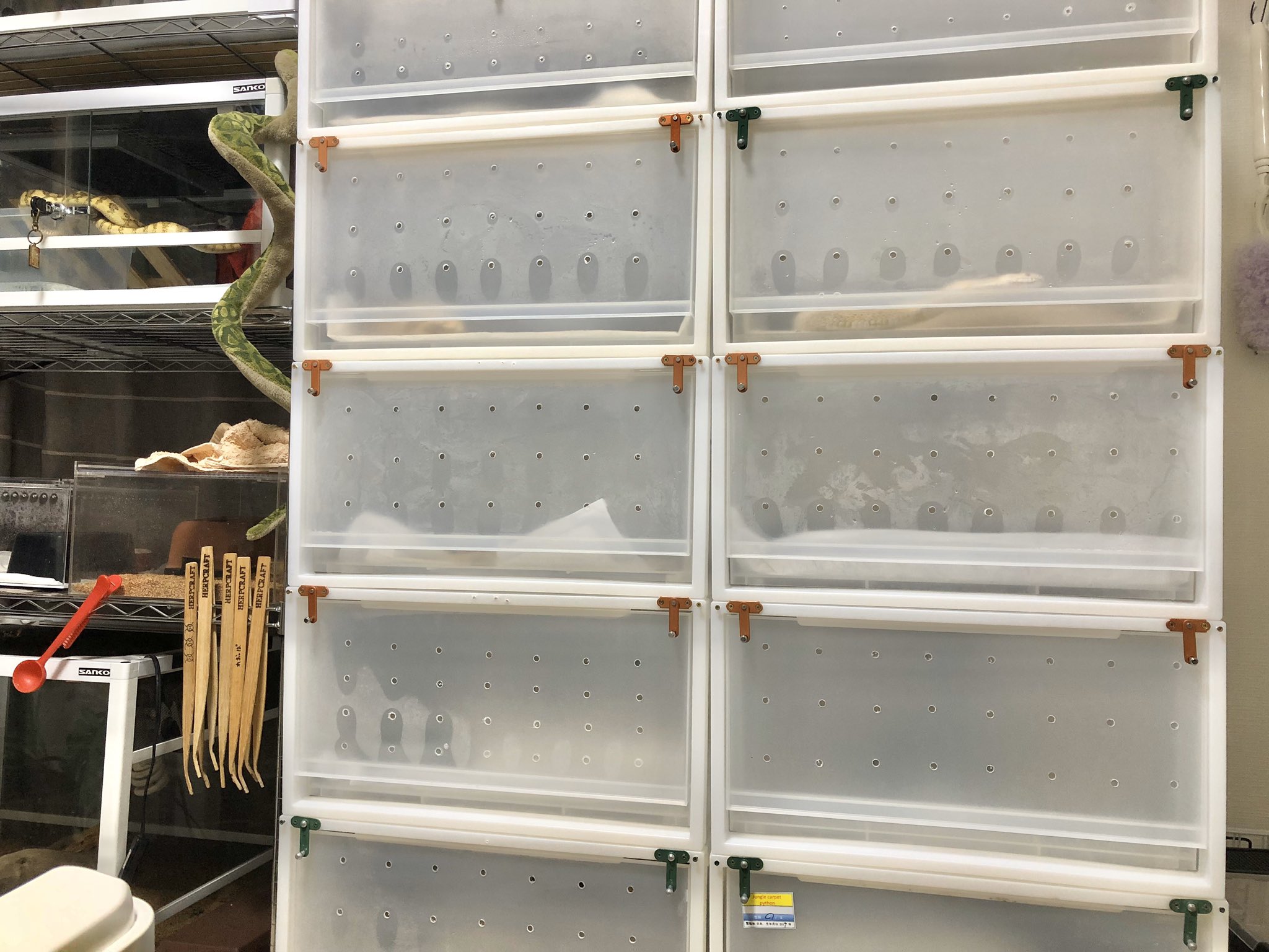 スネークラック 無印衣装ケース