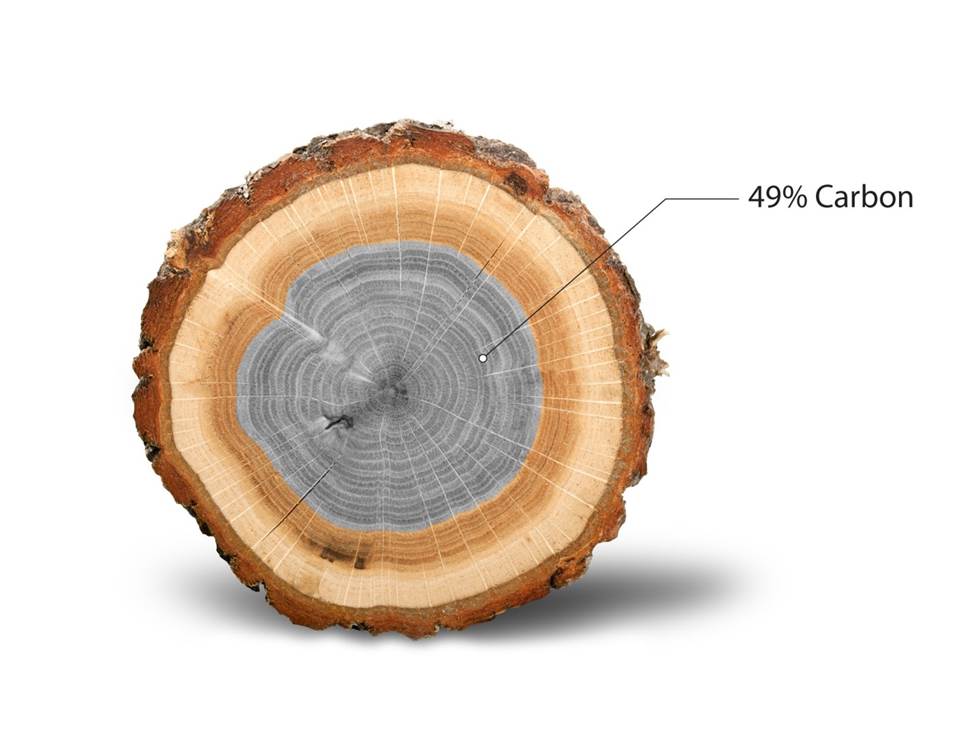 AmericanHardwds's tweet photo. #DYK 49% of hardwood’s dry weight is sequestered carbon? #hardwoodproducts #realwoodreallife #carbonneutral #climatechange #choosehardwood #ForestProductsWeek https://t.co/7sl3Wr9yhl