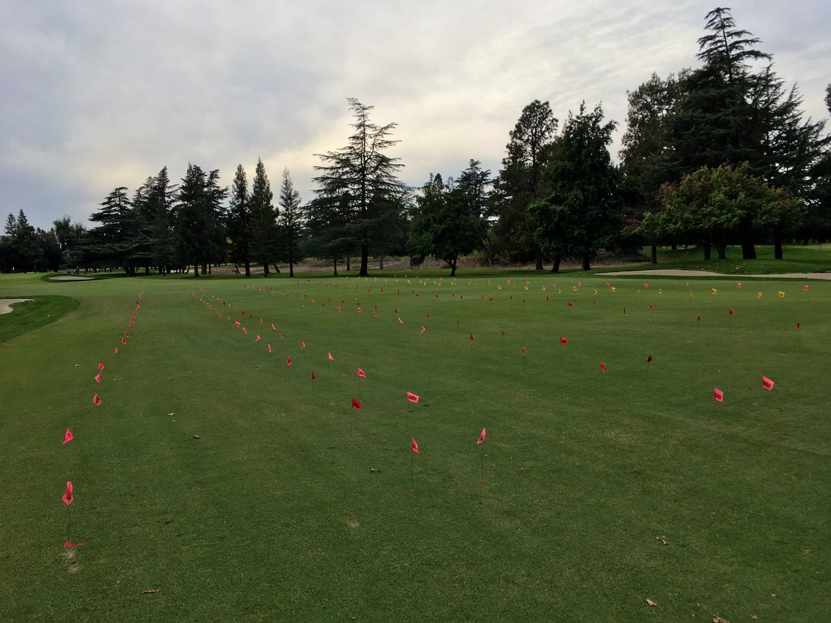 petelewicz's tweet image. Brand new sister #springdeadspot control trials launched this last Thu on two fairways at #PeachTreeCC. 🤞for decent #disease pressure this time. Thank you Tracy for hosting those studies! / #SDS #fungicides 

@UCRturfgrass
#UCRturfpestmgmt