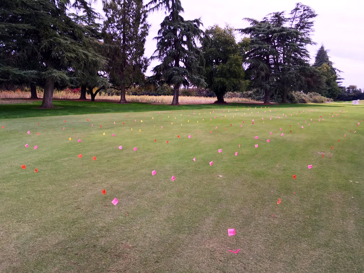 petelewicz's tweet image. Brand new sister #springdeadspot control trials launched this last Thu on two fairways at #PeachTreeCC. 🤞for decent #disease pressure this time. Thank you Tracy for hosting those studies! / #SDS #fungicides 

@UCRturfgrass
#UCRturfpestmgmt