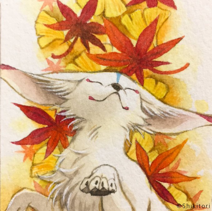 「秋 瞑目」のTwitter画像/イラスト(古い順)