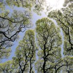 空がパズルのよう!神秘的すぎる風景に見惚れる…