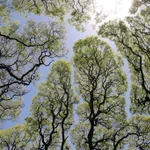 空がパズルのよう!神秘的すぎる風景に見惚れる…