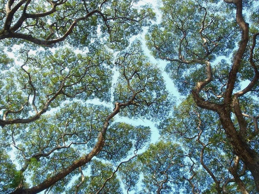 空がパズルのよう！神秘的すぎる風景に見惚れる…