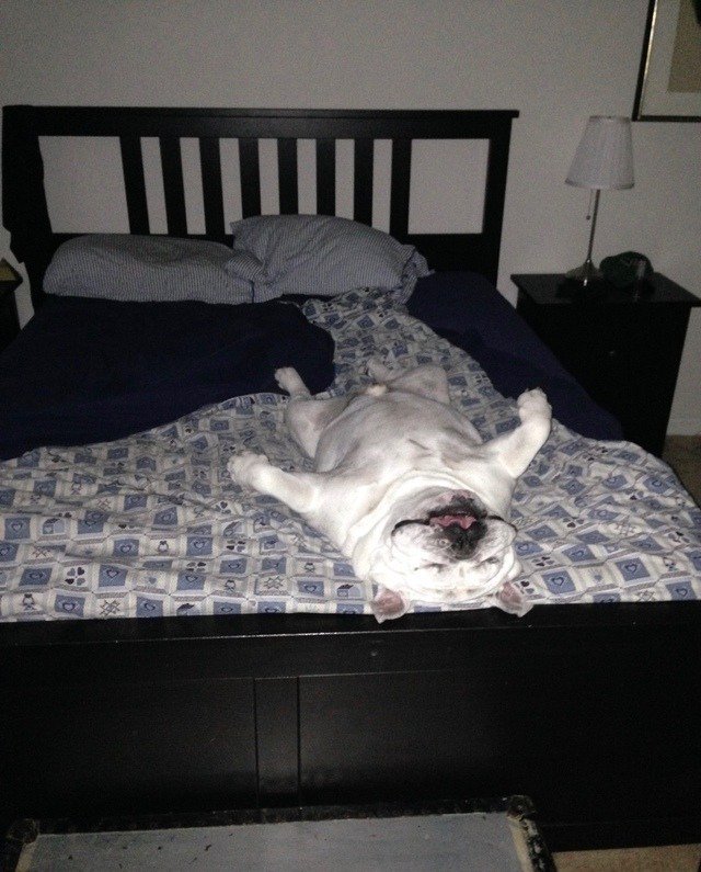 tumblr's tweet photo. Sunday mood. https://t.co/RSgnJzukvq https://t.co/4NHOmnyu3P