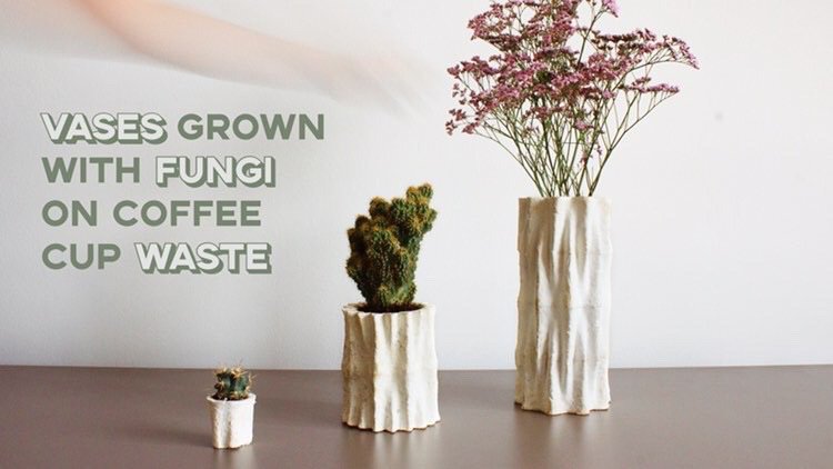 Contribute to our #Kickstarter campaign and help us #upcycling our daily #waste into our daily #furniture thanks 

kickstarter.com/projects/17559…