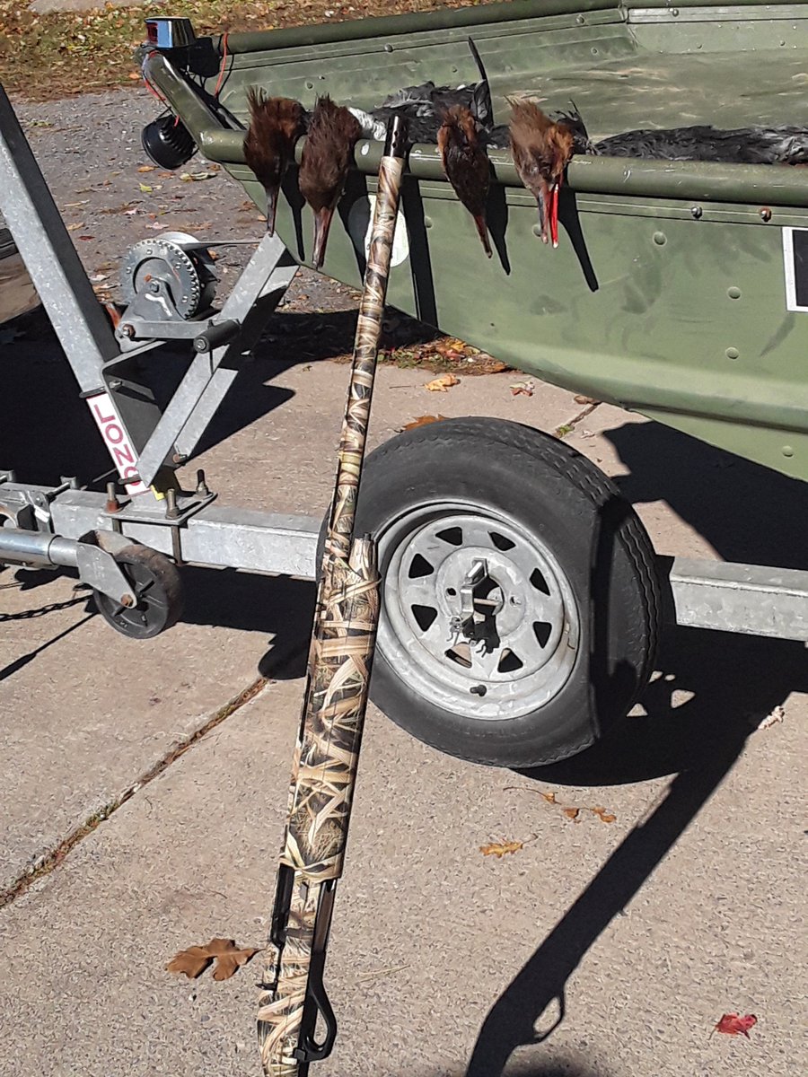 jbirdbenfer's tweet photo. Dropped 4 of 5 mergs with good old @winchester sx4 #patternmaster choke and #winchester superx 4 shot #waterfowl #huntinglife https://t.co/n3CaJgCVCJ