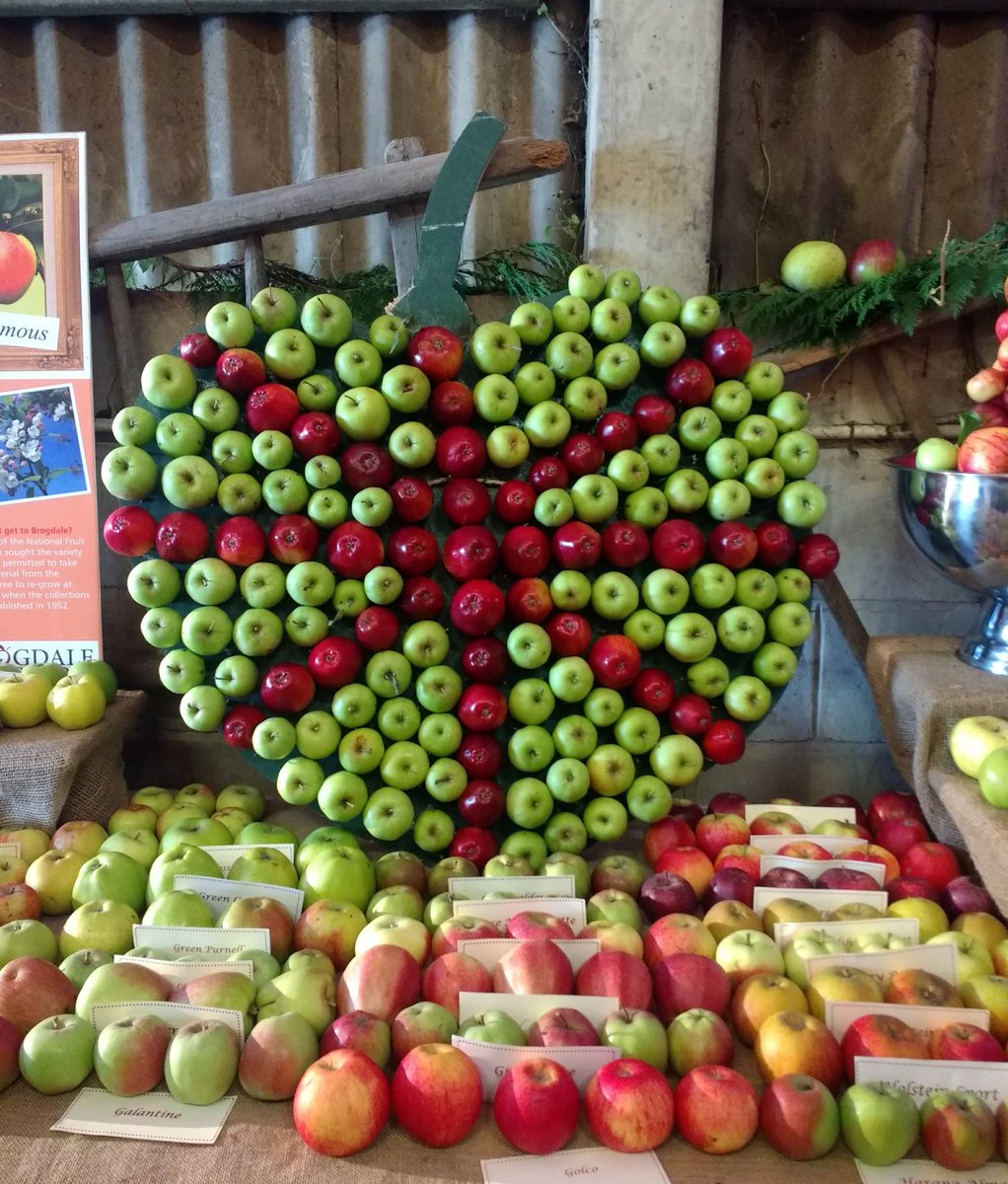 What a fantastic day <a href="/VisitBrogdale/">Brogdale Collections</a>  apple identification of our ancient apple trees, climate and preservation talks and a whole lot of cider! 😁😍🍎🍏