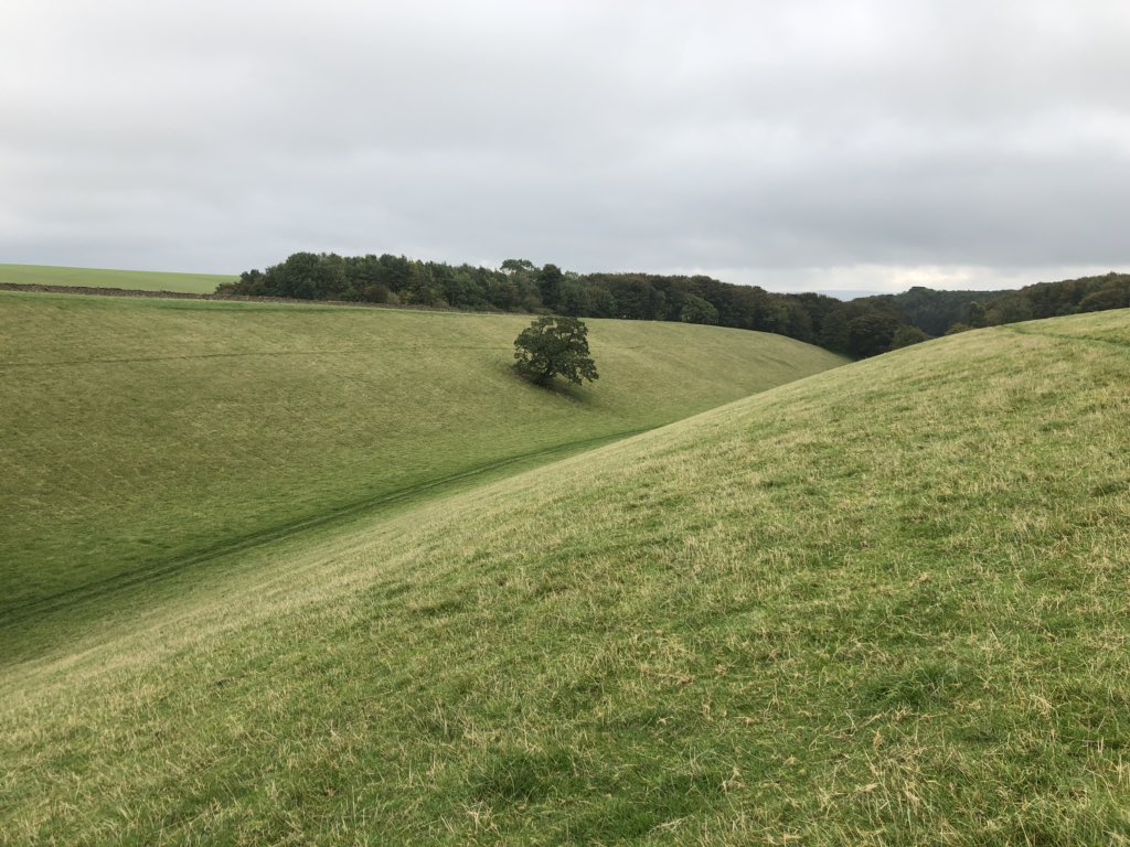 Cayley paved the way for the Wrights but lacked an engine for power. His village is proud of him but even locally he’s not well known. But yesterday I went to the valley to get away from Brexit. And that’s the story of the Yorkshireman who (well, sort of) invented the aeroplane.