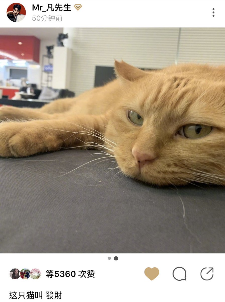KrisKingdom1106's tweet photo. 20191020 @KrisWu 綠洲(oasis) update: 

:This cat is called 發財（Fa Cai)

Oasis is a new social media developed by weibo if you want to download it it will ask for an invitation code. Use this: 8FW9QZ 

#KrisWu #WuYiFan @KrisWu #吴亦凡 https://t.co/sHlKjUTXQw