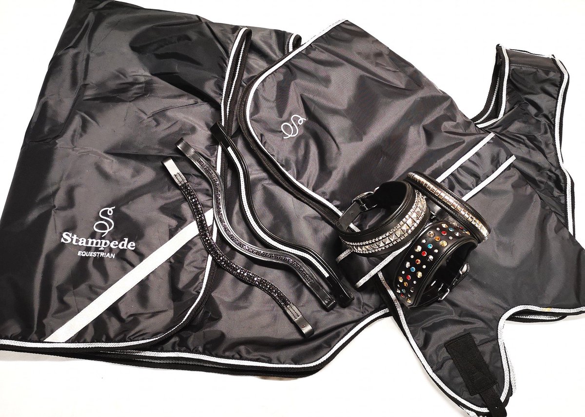 StampedeEq's tweet photo. Dress for winter #dogcoats #horsesheets #ponyhour #GoodVetPetGuide #ACE_equestrian pls RT thanks https://t.co/MWYDuEefl3