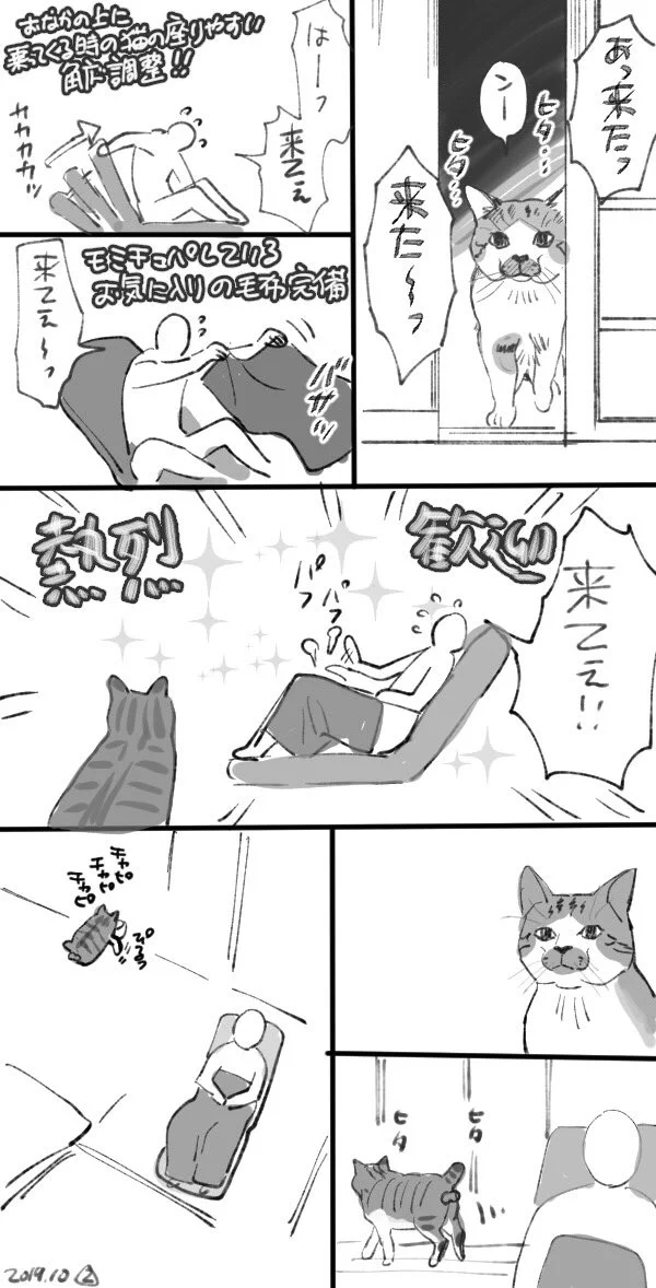 せっかく準備をしたのに！？ねこ様は期待しているときほど来ない