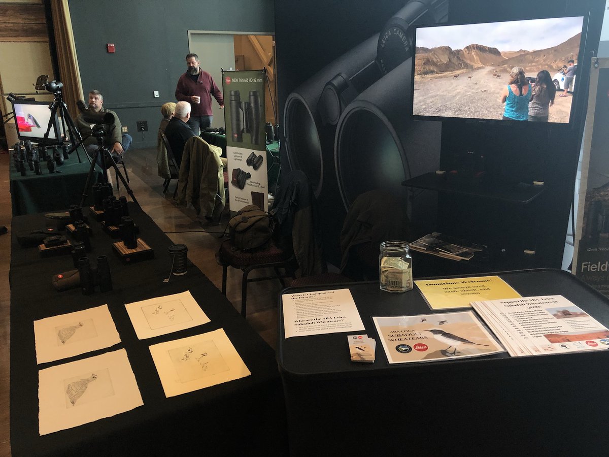 ABAWheatears's tweet photo. Day 3 of the Cape May Fall Festival. Stop by the Leica booth if you’re in town!! https://t.co/M1GsVd9w1b