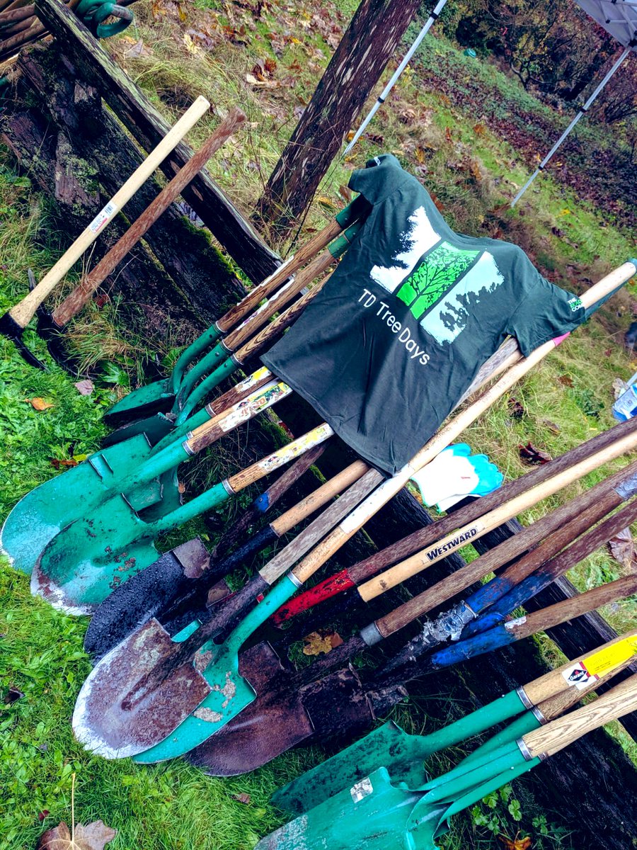 WilsonTu_TD's tweet image. Good Morning Burnaby! We are ready to make this beautiful city a bit more greener and sustainable today! #TDTreeDays #TheReadyCommitment