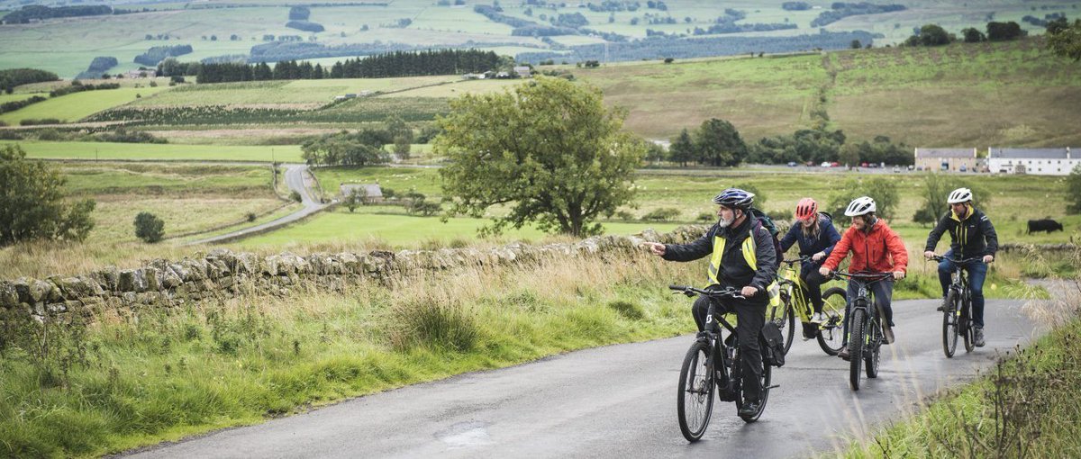 N'land National Park tweet media