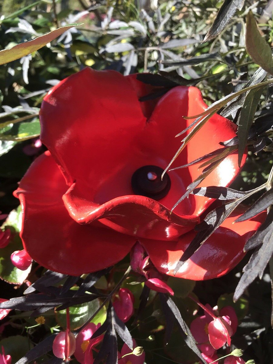 Creu pabis coch gyda Hilary Roberts yn barod ar gyfer Sul y Cofio. Making ceramic poppies with Hilary Roberts in readiness for Remembrance Sunday. #diolchhilary