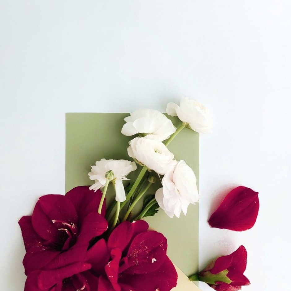 DuriCosmetics's tweet photo. Let yourself grow. 🌹 https://t.co/hCSXiq4KAn
