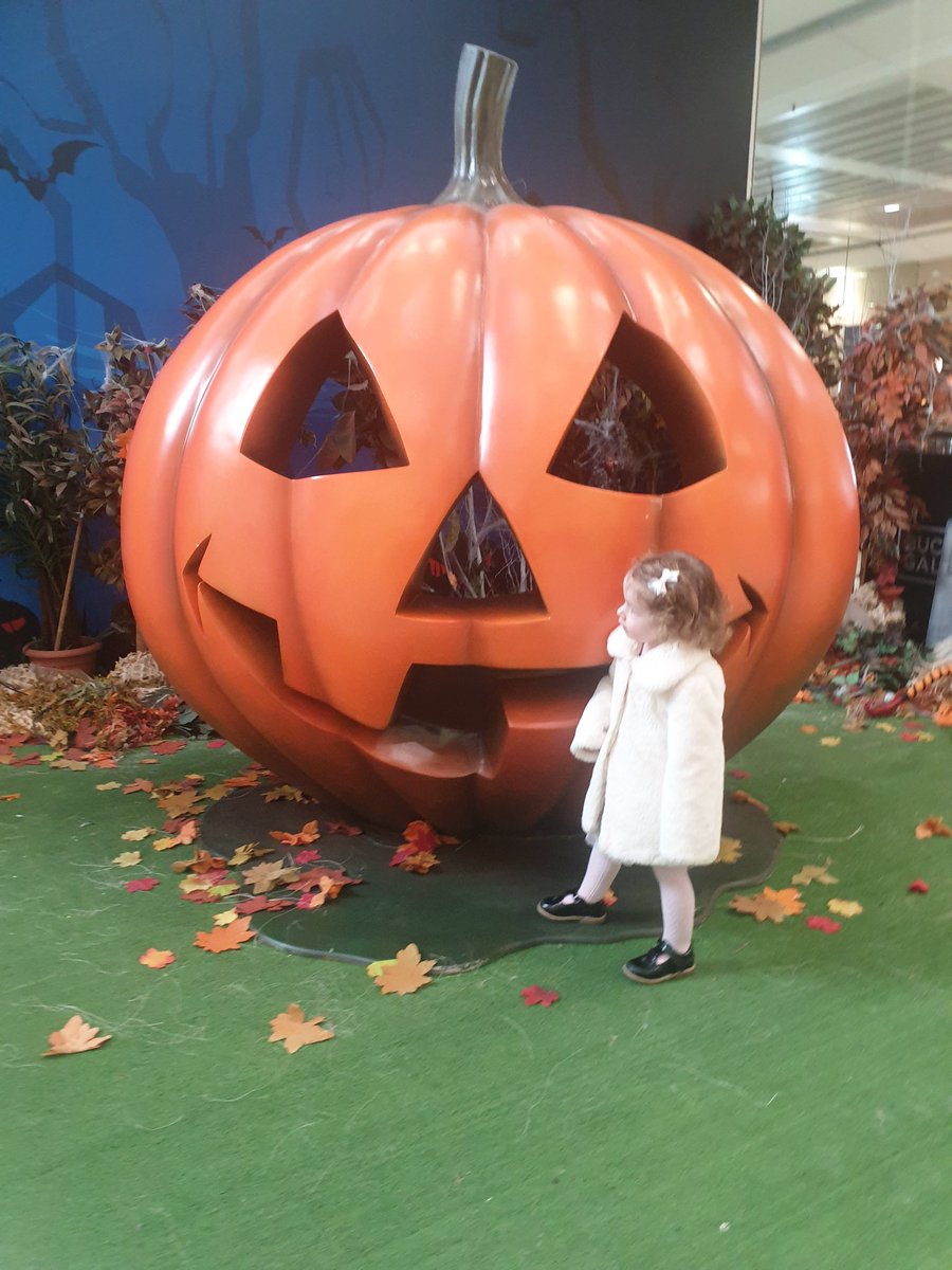 Angela_Urquhart's tweet photo. @buch_galleries @WhatsOnGlasgow @peoplemakeGLA Lily-Grace was too scared to go in, but we managed to get this close 🎃 #BGHalloween #pumpkinposing https://t.co/eglwLfj8L4