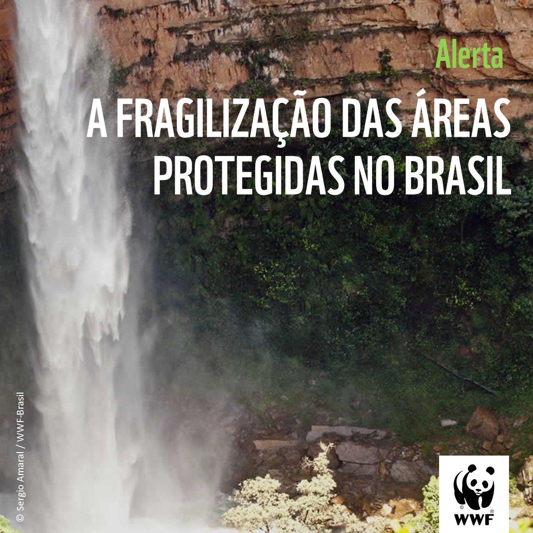 wwfbrasil's tweet photo. Organizações da sociedade civil alertam para fragilização das Áreas Protegidas Brasileiras durante o III #CongresoAreasProtegidasLAC. Leia a íntegra do manifesto apresentado no fórum: https://t.co/wZ8oUPsmS9 #Caplac #Conservação #MeioAmbiente #ConectadoNoPlaneta #JuntosÉPossível https://t.co/kAxIAvV2OX