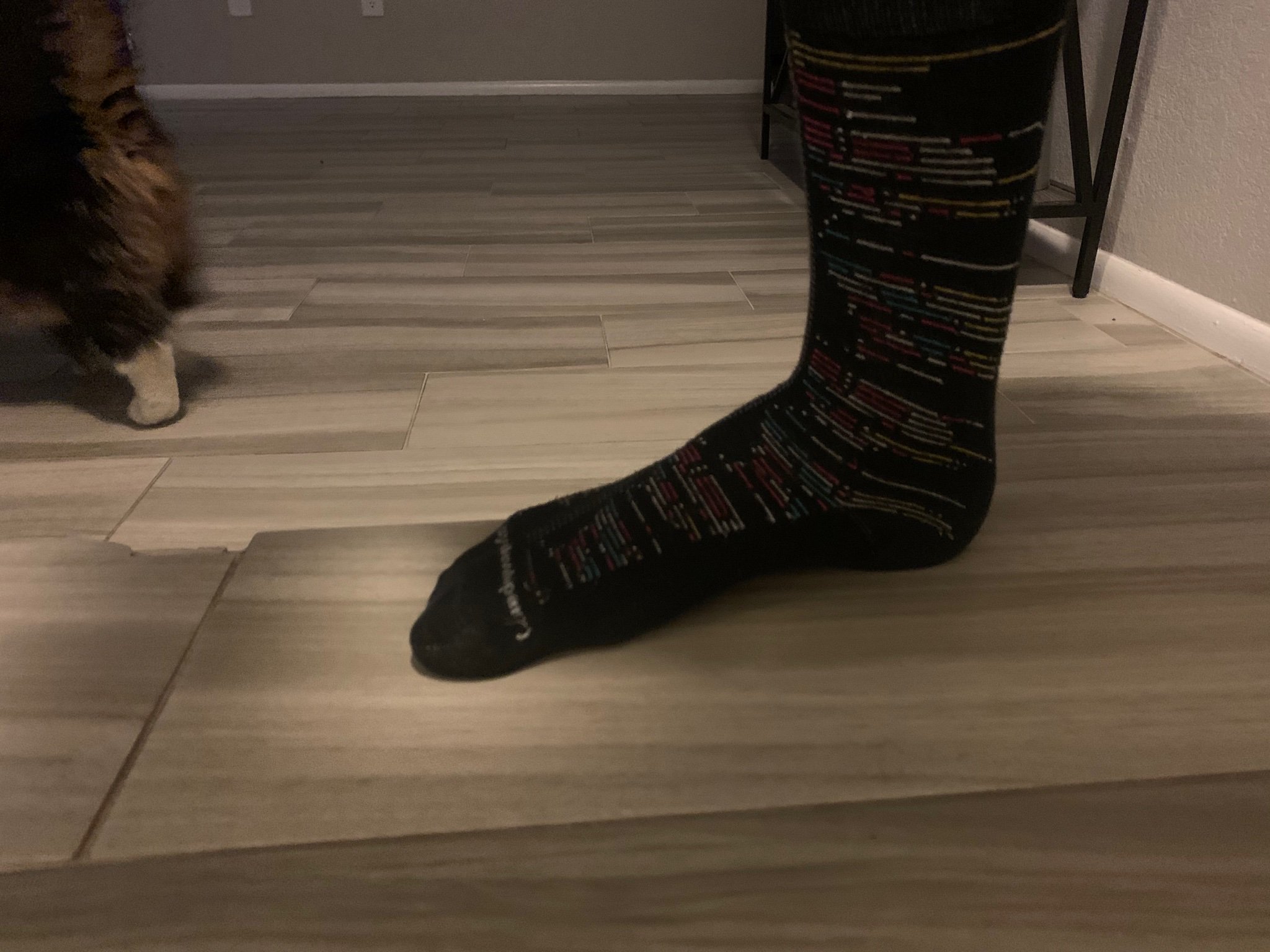 Chadthecreator On Twitter Dear Roblox Please Give Out More Cool Socks At Rdc Next Year Like These Lua Socks From 2018 They Are Wearing Out Bc I Love Them I Am The Best Chad Rhoam Bosphoramus Https T Co Vq1agcomsj - what does chadthereator on roblox look like