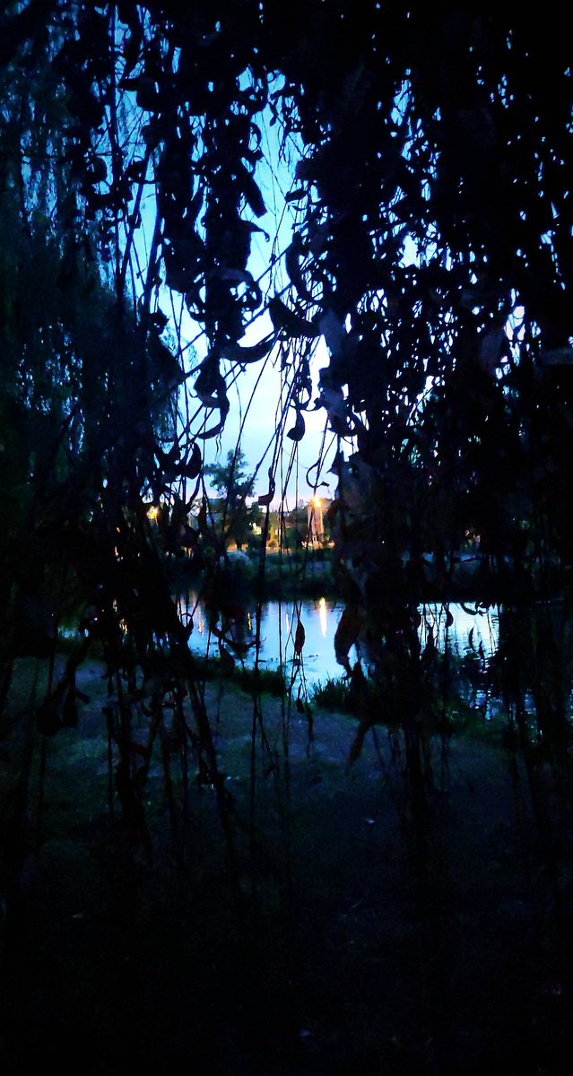 looks_like's tweet photo. Perfect😊 #evening #kiev #perfect_date https://t.co/hL4CWOZGca